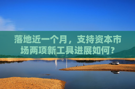 落地近一个月，支持资本市场两项新工具进展如何？