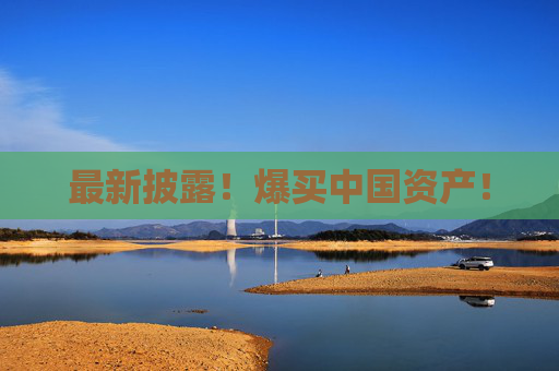 最新披露！爆买中国资产！