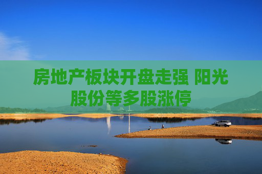 房地产板块开盘走强 阳光股份等多股涨停