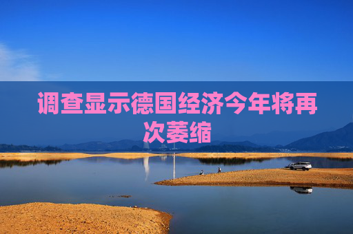 调查显示德国经济今年将再次萎缩