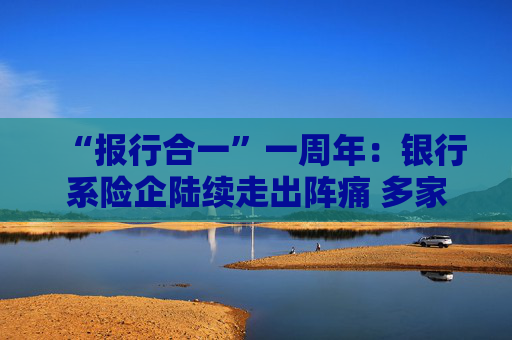 “报行合一”一周年：银行系险企陆续走出阵痛 多家外资险企进入上升通道