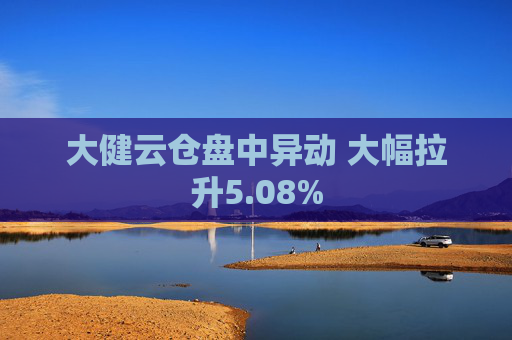 大健云仓盘中异动 大幅拉升5.08%
