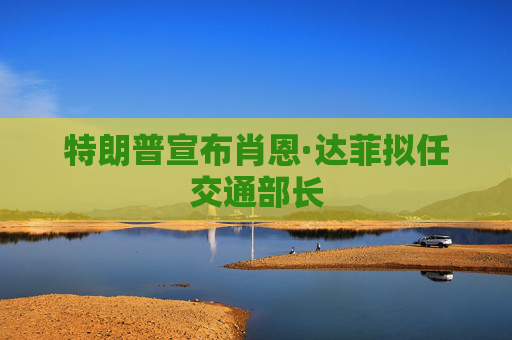 特朗普宣布肖恩·达菲拟任交通部长