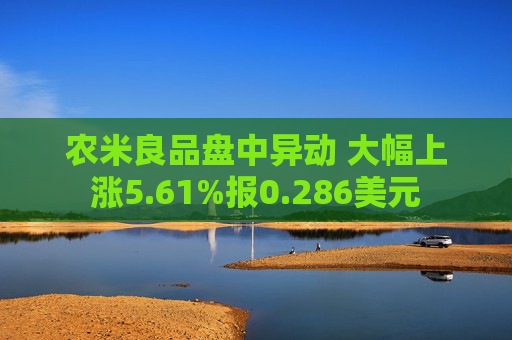 农米良品盘中异动 大幅上涨5.61%报0.286美元