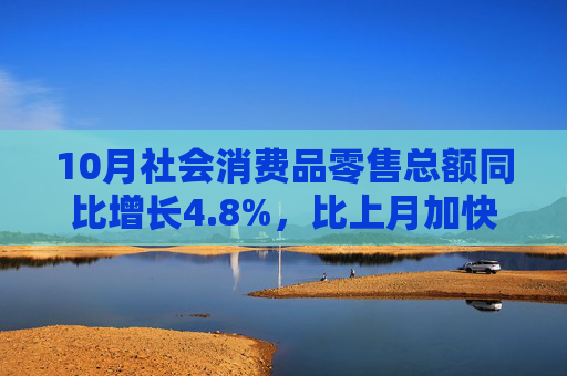 10月社会消费品零售总额同比增长4.8%，比上月加快1.6个百分点