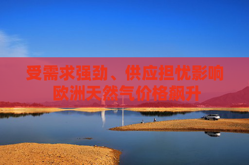 受需求强劲、供应担忧影响 欧洲天然气价格飙升