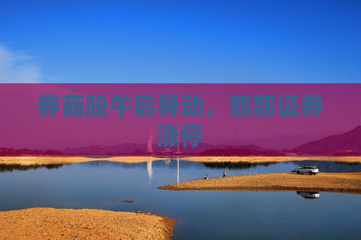 券商股午后异动，西部证券涨停