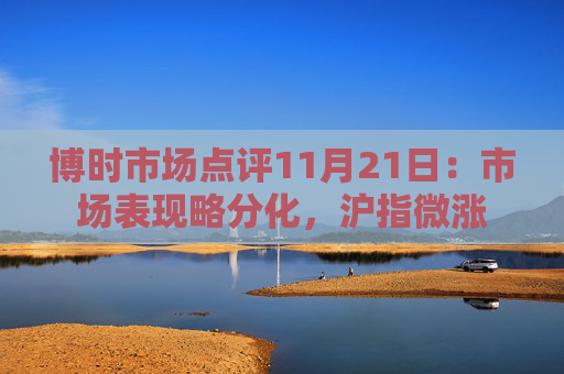博时市场点评11月21日：市场表现略分化，沪指微涨