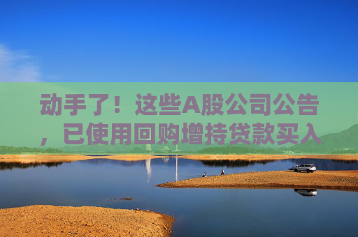 动手了！这些A股公司公告，已使用回购增持贷款买入股票！