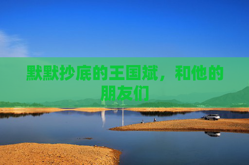 默默抄底的王国斌，和他的朋友们