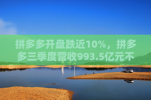 拼多多开盘跌近10%，拼多多三季度营收993.5亿元不及预期