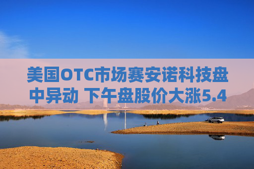 美国OTC市场赛安诺科技盘中异动 下午盘股价大涨5.41%