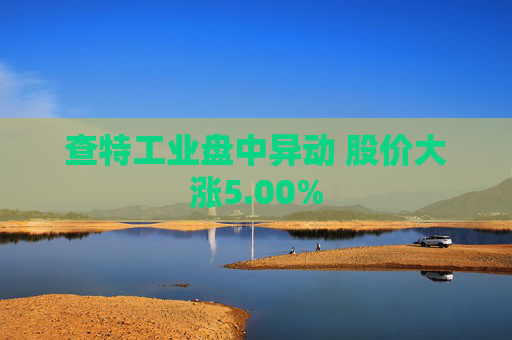 查特工业盘中异动 股价大涨5.00%