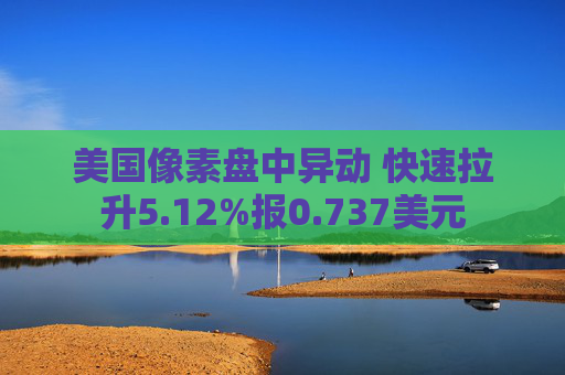美国像素盘中异动 快速拉升5.12%报0.737美元