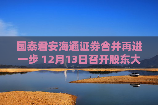国泰君安海通证券合并再进一步 12月13日召开股东大会审议22项议案