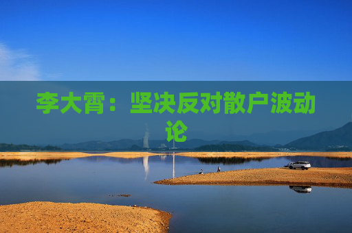 李大霄：坚决反对散户波动论
