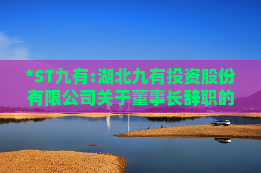 *ST九有:湖北九有投资股份有限公司关于董事长辞职的公告