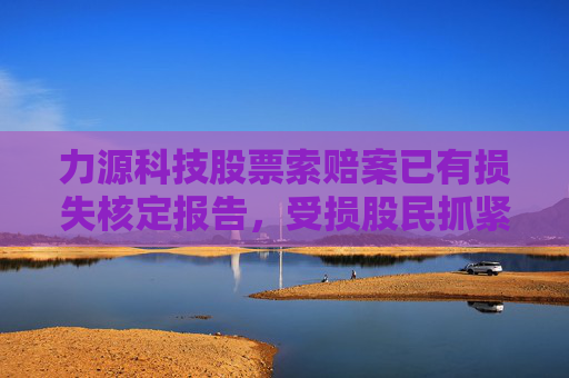 力源科技股票索赔案已有损失核定报告，受损股民抓紧诉讼