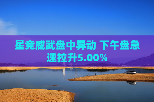 星竞威武盘中异动 下午盘急速拉升5.00%