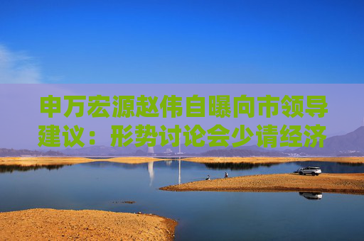 申万宏源赵伟自曝向市领导建议：形势讨论会少请经济学家，多请产业界代表