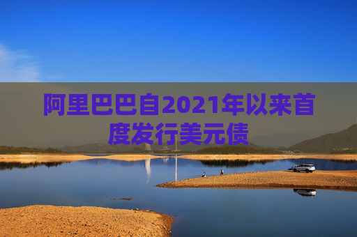 阿里巴巴自2021年以来首度发行美元债