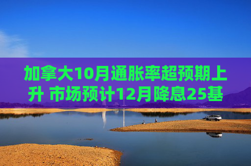 加拿大10月通胀率超预期上升 市场预计12月降息25基点概率约为60%