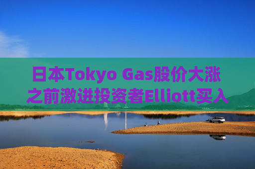 日本Tokyo Gas股价大涨 之前激进投资者Elliott买入股份