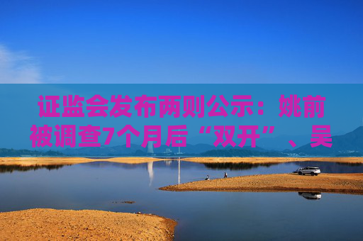 证监会发布两则公示：姚前被调查7个月后“双开”、吴国舫正接受调查