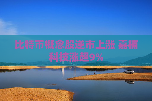 比特币概念股逆市上涨 嘉楠科技涨超9%