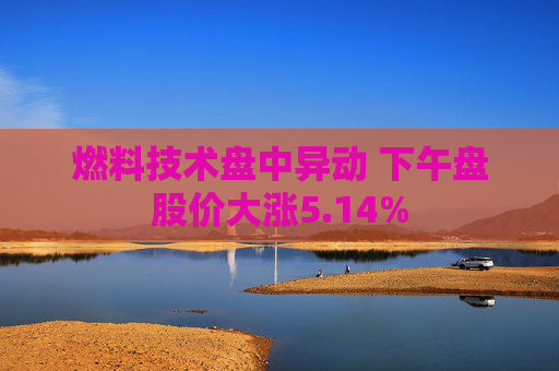 燃料技术盘中异动 下午盘股价大涨5.14%