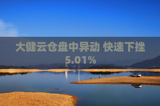 大健云仓盘中异动 快速下挫5.01%