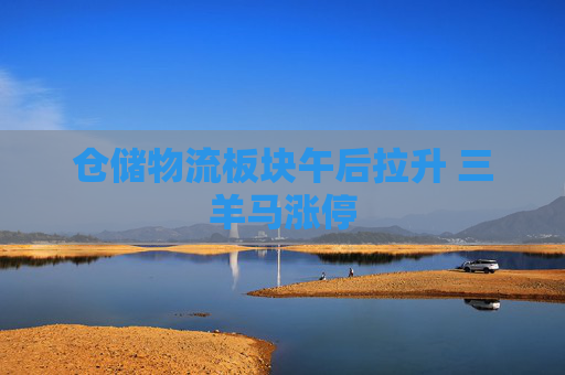 仓储物流板块午后拉升 三羊马涨停