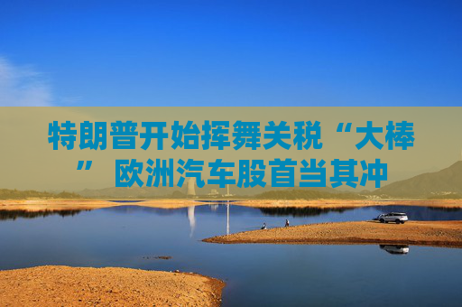 特朗普开始挥舞关税“大棒” 欧洲汽车股首当其冲
