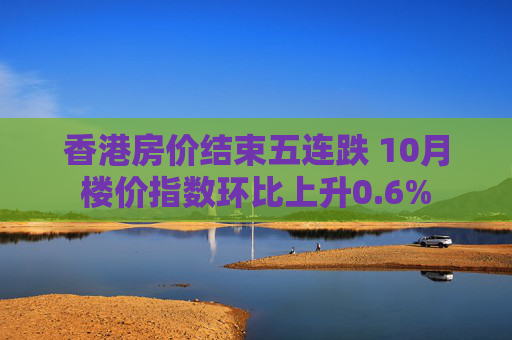 香港房价结束五连跌 10月楼价指数环比上升0.6%
