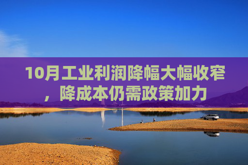 10月工业利润降幅大幅收窄，降成本仍需政策加力
