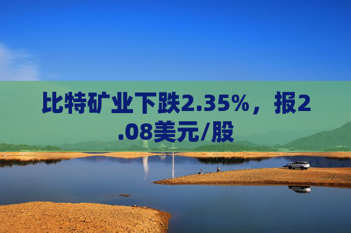 比特矿业下跌2.35%，报2.08美元/股