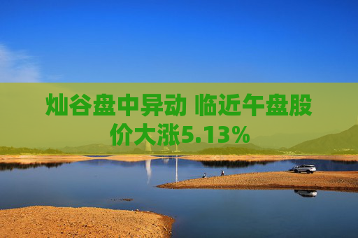 灿谷盘中异动 临近午盘股价大涨5.13%