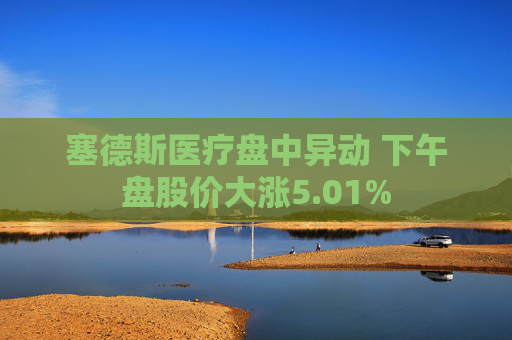 塞德斯医疗盘中异动 下午盘股价大涨5.01%