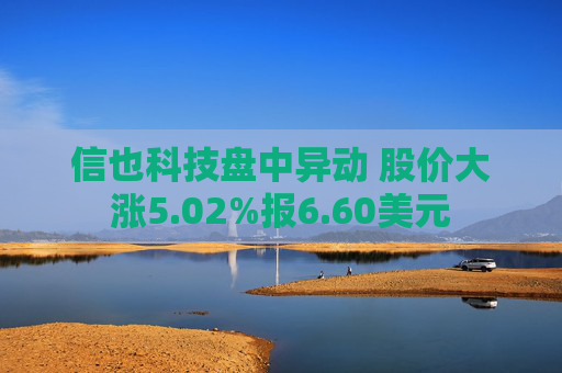 信也科技盘中异动 股价大涨5.02%报6.60美元