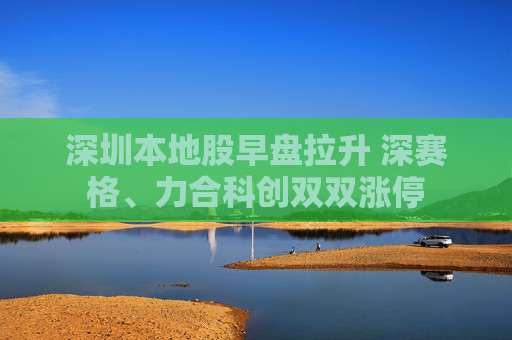 深圳本地股早盘拉升 深赛格、力合科创双双涨停