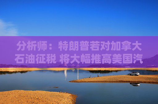 分析师：特朗普若对加拿大石油征税 将大幅推高美国汽油零售价