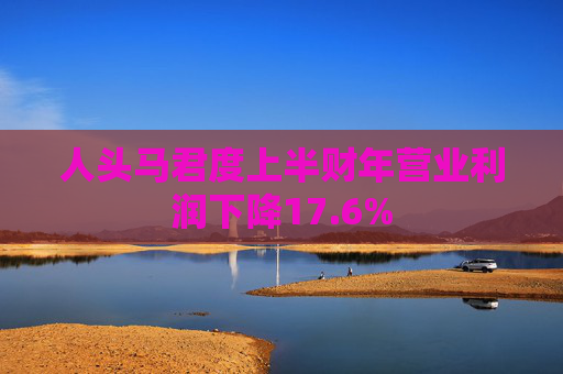 人头马君度上半财年营业利润下降17.6%