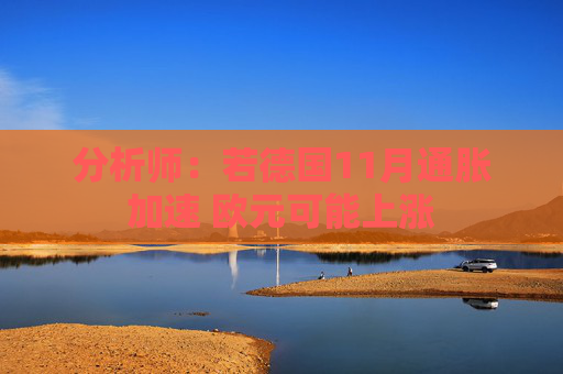 分析师：若德国11月通胀加速 欧元可能上涨