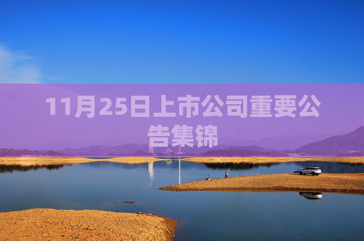 11月25日上市公司重要公告集锦