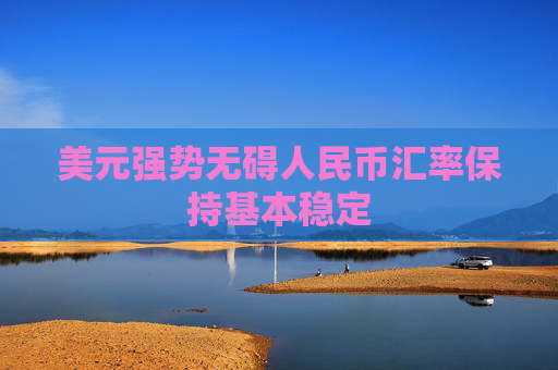 美元强势无碍人民币汇率保持基本稳定