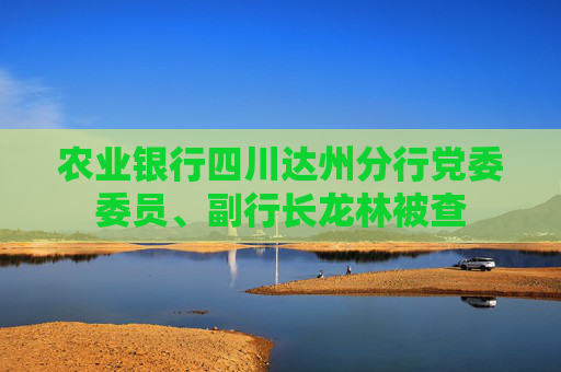 农业银行四川达州分行党委委员、副行长龙林被查