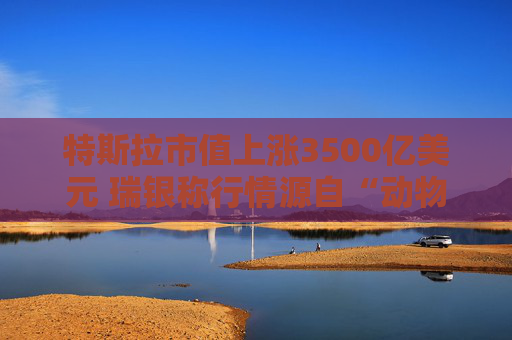 特斯拉市值上涨3500亿美元 瑞银称行情源自“动物精神”而非基本面