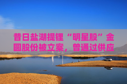 昔日盐湖提锂“明星股”金圆股份被立案，曾通过供应商给控股股东输送资金