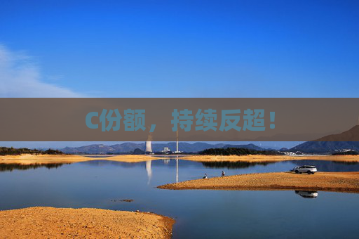 C份额，持续反超！