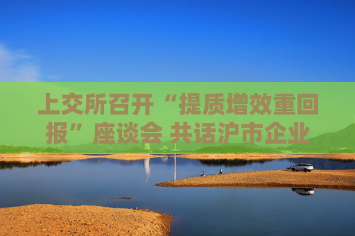上交所召开“提质增效重回报”座谈会 共话沪市企业价值跃升新路径